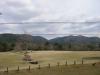 Nara park