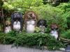 Tanuki!