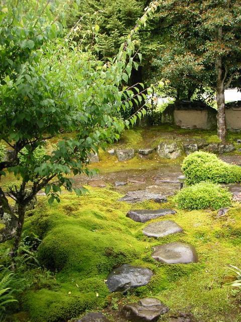 zen garden outside the guesthouse, Tekishinjuku