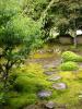 zen garden outside the guesthouse, Tekishinjuku